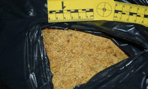 Pretres urodio plodom: Uhapšen sa 390 kilograma švercovanog duvana