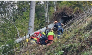 Drvo se obrušilo na njega! Radnik (24) iz BiH teško povrijeđen tokom sječe šume