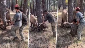 Nestvarna scena: Ratoborni jeleni u golemom problemu, a onda je naišao čovjek VIDEO