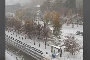 Palo više od 20 centimetara: Snijeg zabijelio Moskvu