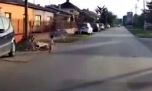 Snimak sa ulice od kojeg podilazi jeza! “Umalo sebi da sj*em život” VIDEO