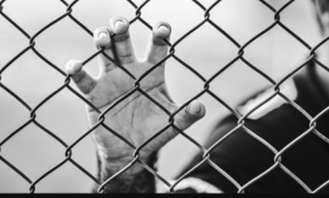 Drama iza rešetaka: Petorica opasnih robijaša pobjegla iz zatvora