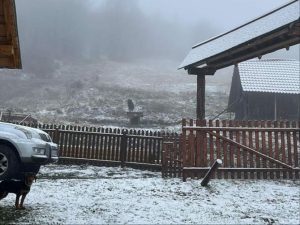 Snijeg pada i u Srbiji: Evo gdje se zabijelilo, putari spremni za novu sezonu