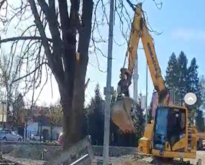 Drama u Banjaluci! Krenuo da ruši drvo u centru, pa bagerom nasrnuo na čovjeka VIDEO