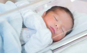 Najslađe “putovanje”: Ovako izgleda prva godina bebe