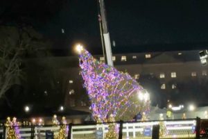 Uoči tradicionalne godišnje ceremonije: Vjetar oborio božićnu jelku ispred Bijele kuće