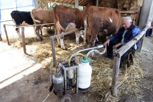 U Srpskoj proizvodnja mlijeka u porastu