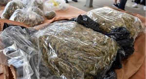 Uhapšen policajac koji je dilovao drogu: U automobilu pronađeno 77 kilograma marihuane