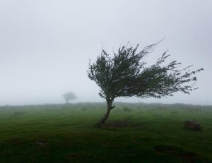 Republički hidrometeorološki zavod izdao upozorenje na olujni vjetar