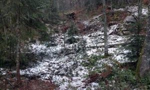 Zabijelio vrhove planina: Snijeg u Drvaru