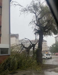 Štete širom BiH: Vjetar jačine orkanske oluje duvao 105 km/h