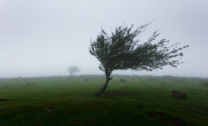 Narandžasto upozorenje zbog jakog vjetra za regije Banjaluke, Trebinja i Foče