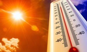 Upozorenje stručnjaka: Skoro pet puta više ljudi umiraće od ekstremnih vrućina