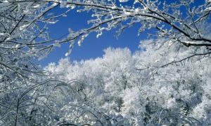 Sutra hladnije: Meteorolozi najavljuju snijeg za Božić u većini krajeva
