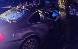 BMW-om sletjeli sa puta: Vatrogasci izvlačili povrijeđene iz vozila