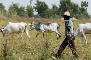 Sve zbog zemljišta: U sukobima stočara i farmera više od 160 mrtvih