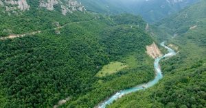 Kao iz noćnih mora: Na Tari snimljeno zastrašujuće stvorenje FOTO