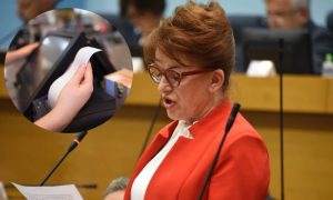 Vidovićeva otkrila kada počinje novi sistem fikaslizacije: Budžet Srpske će pokriti sve troškove
