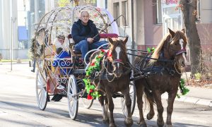 Čarolija Zimzoparka: Doživite zimsku bajku uz besplatne vožnje kočijama
