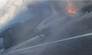 Za dlaku tragedija! Izbjegavao mačku pa sletio sa puta, vozilo se zapalilo