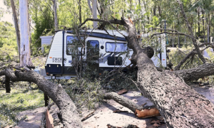 Vjetar nosio krovove i obarao drveća: Najmanje devet osoba poginulo u oluji