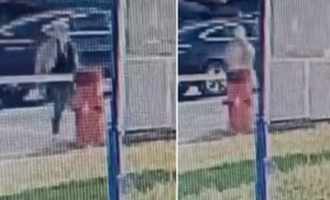 Pljunula čuvara na kapiji KCUS: Kamera snimila novi skandal Sebije Izetbegović VIDEO