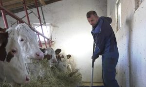 Zoran se iz Austrije vratio u rodno selo: Oduvijek mi je želja bila da se bavim poljoprivredom