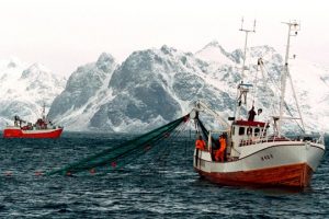 Odluka Vlade Rusije: Zabraniti Velikoj Britaniji ribolov u Barencovom moru