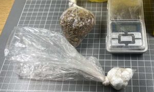 Pronađeni kokain i marihuana: Uhapšena dva lica