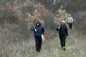 Sutra Badnji dan: Ovo su vjerovanja i običaji