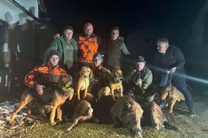 Nesvakidašnji odstrel u srbačkom lovištu: Sa dva hica pogodio tri divlje svinje