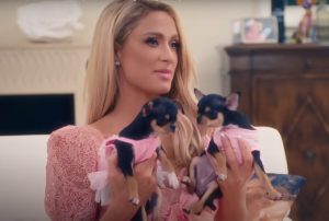 Bilo joj slomljeno srce: Paris Hilton klonirala svog nestalog psa i dobila dva nova VIDEO
