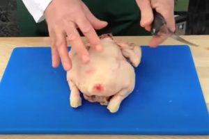 Kako se pravilno čisti meso od kostiju: Za samo tri minute ostaće čisto meso VIDEO