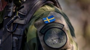 Borbeni avioni, ratna mornarica i geografski položaj: Koliko je Švedska ojačala NATO