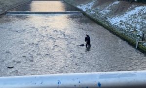 Hitna, policija i vatrogasci na terenu: Pronađeno beživotno tijelo u rijeci