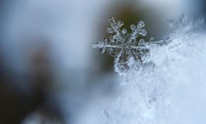 Imate planove za vikend: Prognoza otkriva kakvo vrijeme će biti narednih dana u BiH