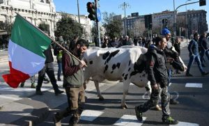 Protesti se nastavljaju: Italijanski farmeri šetali sa kravom ulicama Milana VIDEO