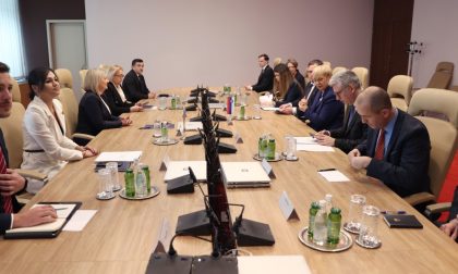 Krišto nakon sastanka sa predsjednicom Slovenije: Glavni cilj BiH je punopravno članstvo u EU