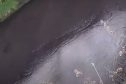 Inspekcija na terenu: Rijekom Crkvenom u Banjaluci teče motorno ulje