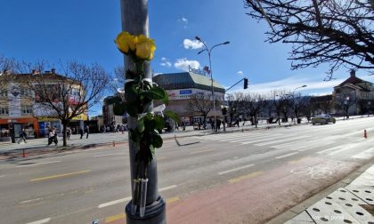 Zašto baš žute ruže? Ovaj detalj u centru grada zbunjuje Banjalučane FOTO