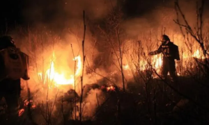 Ima li razloga za paniku: Šumski požari u Gacku, evo gdje je najkritičnije FOTO