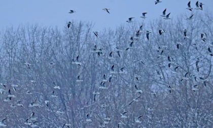 Oboren rekord od prije 64 godine: Izmjerena temperatura od minus 52,3 stepena