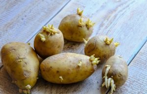 Odličan trik! Kako spriječiti klijanje krompira i još nekoliko super savjeta za čuvanje hrane