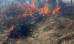 Buktinja u Srpskoj: Zaustavljeno širenje požara na trafostanicu i porodične kuće