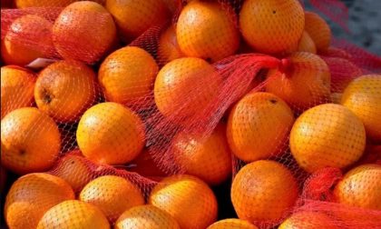 Postoji poseban razlog: Evo zašto se narandže prodaju u crvenim vrećicama