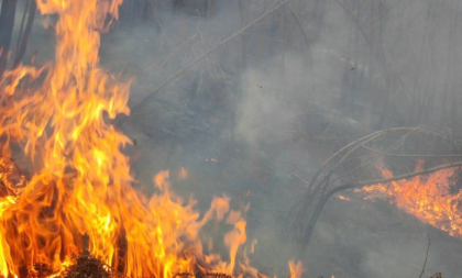 Vatrogasci imali pune ruke posla: U Banjaluci najviše gorjelo nisko rastinje VIDEO