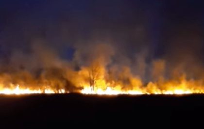 Vatra izmiče kontroli: Veliki požar se širi na ovom dijelu Srpske VIDEO
