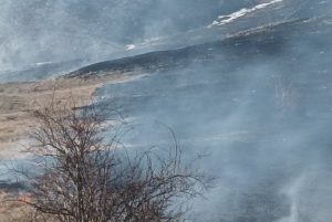 Požari na sve strane: Ovaj dio Srpske se danas ne vidi od dima VIDEO/FOTO