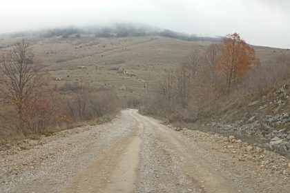 Mještani srpskih sela nezadovoljni: Put između Drvara i Glamoča u katastrofalnom stanju
