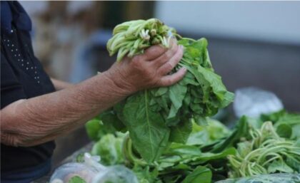 Visoke cijene zelene salate i paprika: U BiH blitva i špinat skuplji za 100 odsto